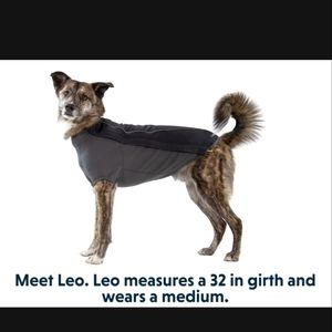 NWT Ruffwear Cloudchaser Softshell Jacket